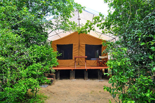 Promo [75% Off] Wild Trails Yala Tented Safari Camp Sri ...